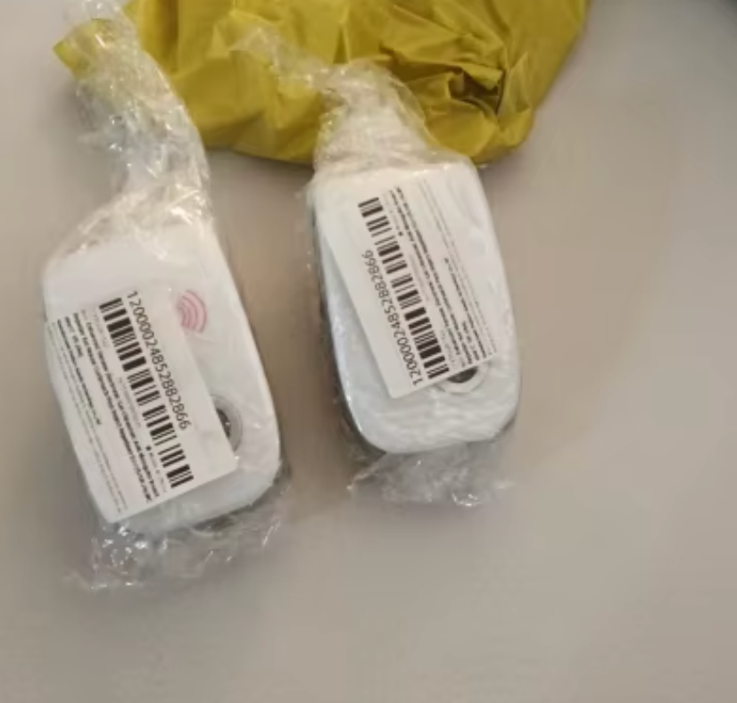 Foto de Guilherme Barros